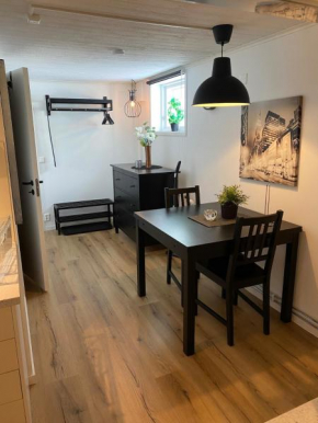 Cozy basement apartment for the whole family